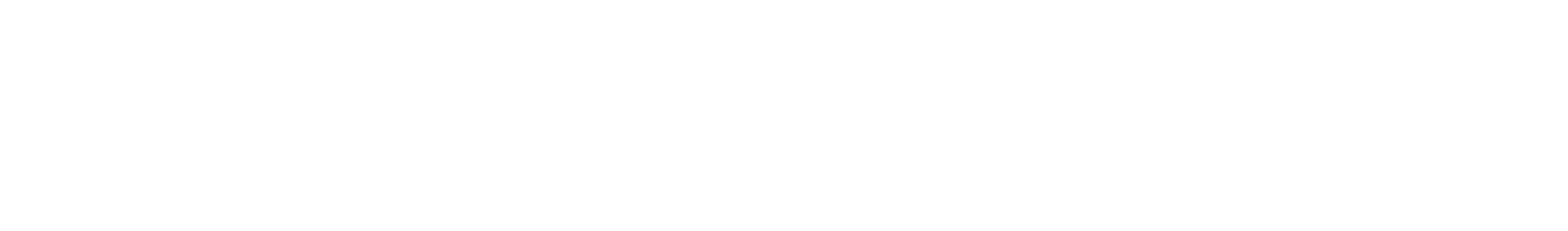 Website Logo des Verbands Südtiroler in Salzburg Stadt in weiß